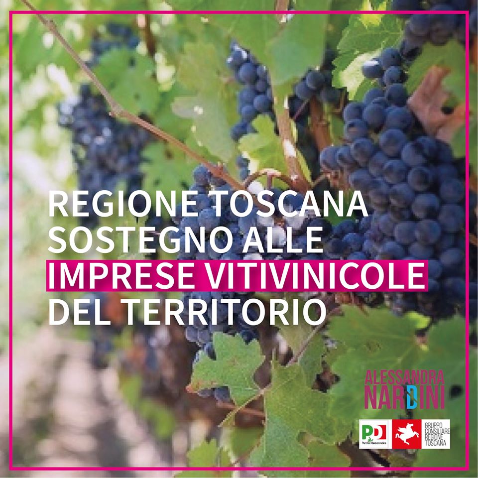 TOSCANA: IMPRESE VITIVINICOLE