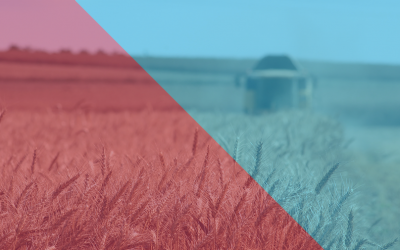 AGRICOLTURA