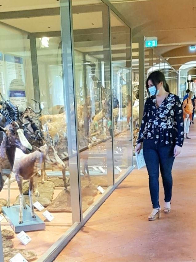 CALCI: RIAPRE IL MUSEO DI STORIA NATURALE – UNIVERSITÀ DI PISA