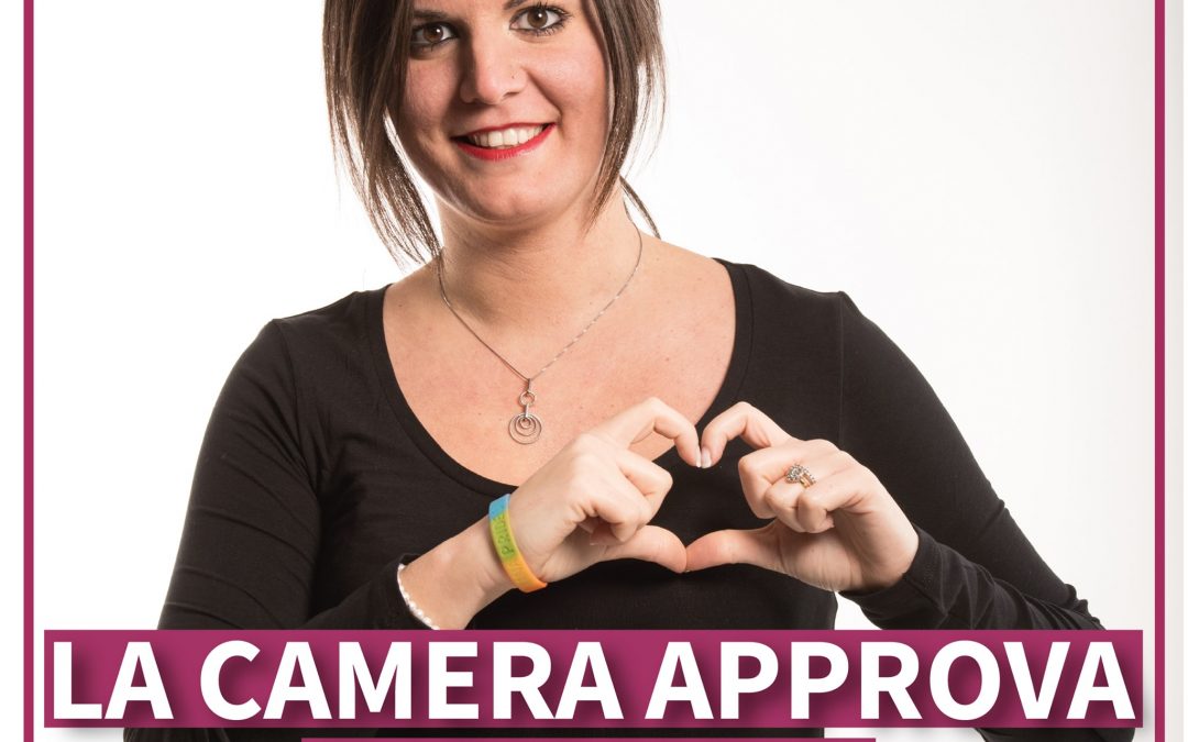 La Camera approva il ddl Zan