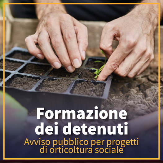 Formazione delle detenute e dei detenuti