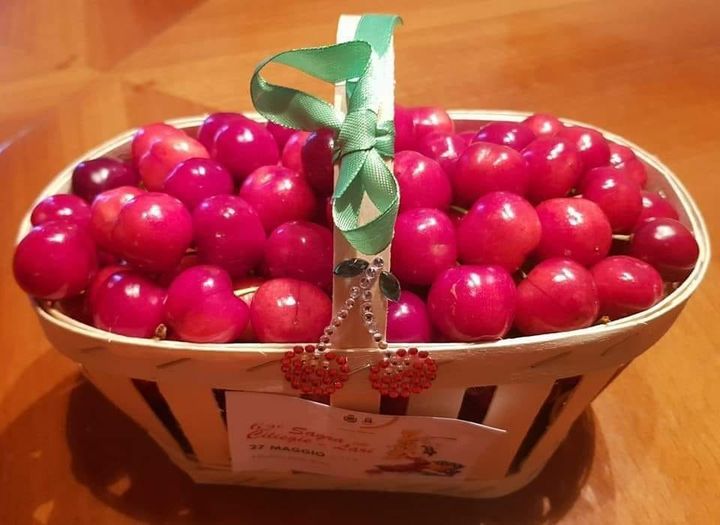 Via libera al marchio IGP per la ciliegia di Lari